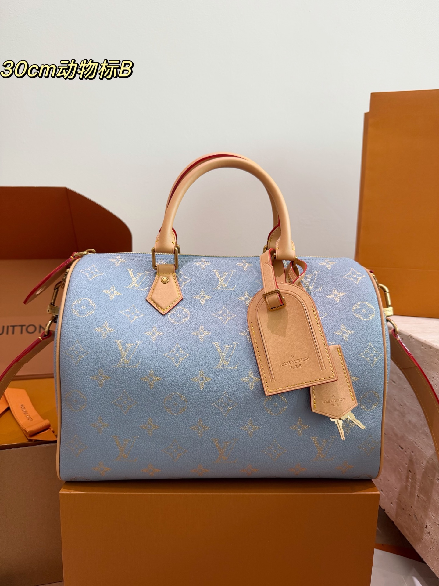 LV Speedy P34 Handbag Monogram Canvas Detachable Strap 2